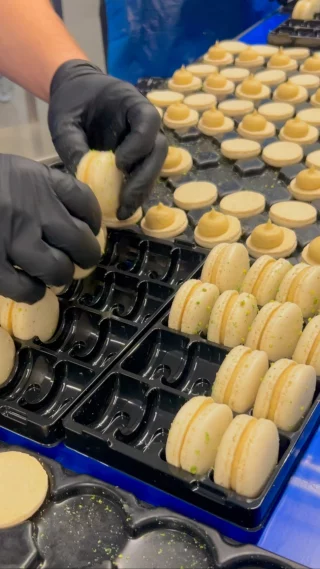 Entre nos mains, deux coques deviennent un macaron ✨

Chaque pièce est assemblée une à une, avec patience et précision, pour garantir un macaron d’exception.

Un savoir faire qui fait toute la différence 🥰

#Macaron #Production #Assemblage #SavoirFaire #FaitMain
